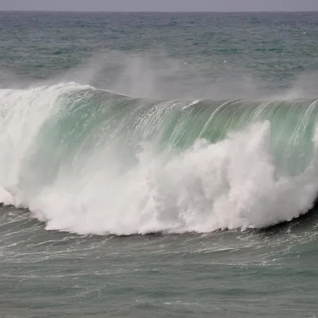 Wave *