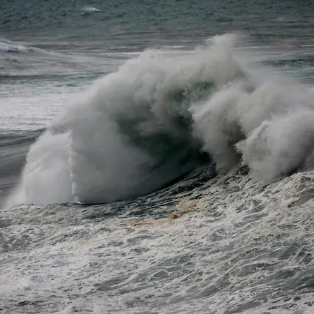 Apartamento Wave